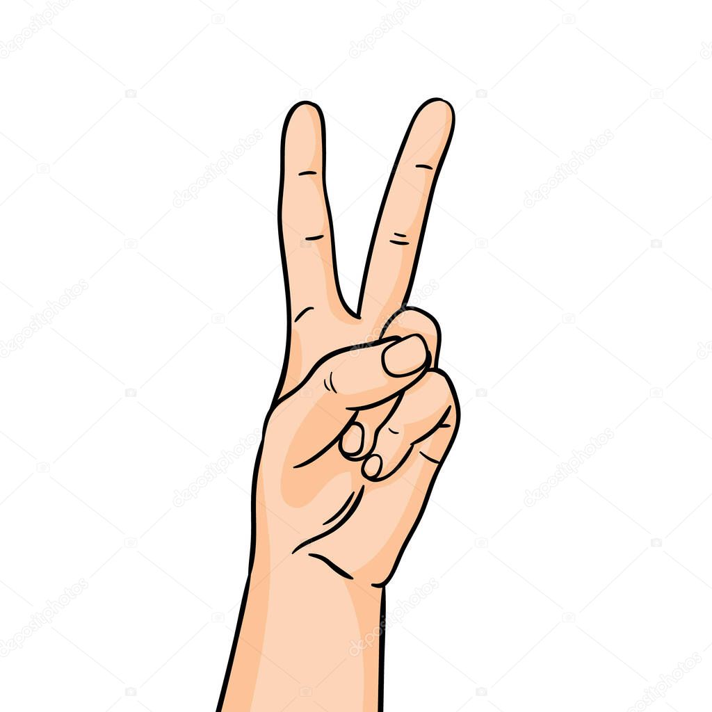 The gesture of victory in line art. Hand showing forefinger and middle finger up on white background. Vector hand drawn illustration