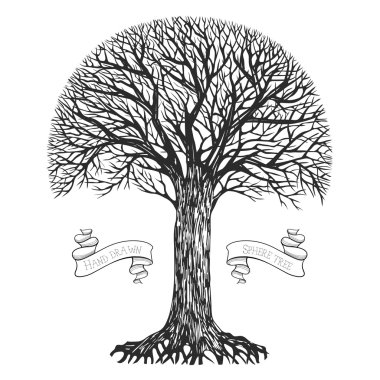 Bir ağacın silueti