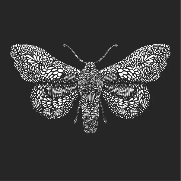 Εκπληκτικό fly πεταλούδα. — Διανυσματικό Αρχείο