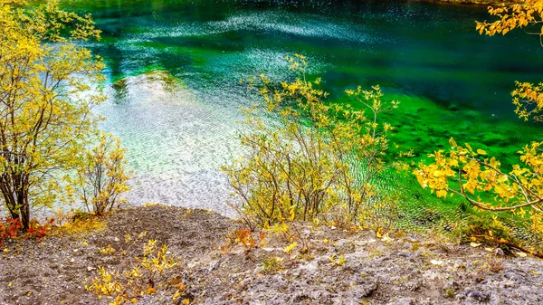 Grüne Farbe des Grassie Lake in der Nähe von Canmore in den kanadischen Rockies — Stockfoto