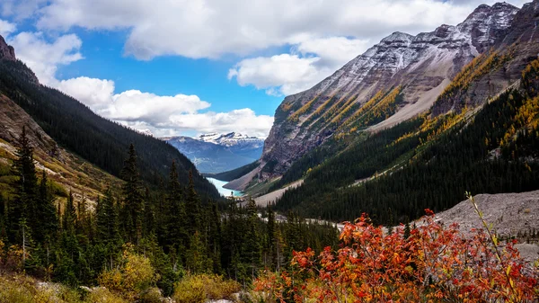 View of Lake Louise from the Trail to the Plain of Six Glaciers — Stock Photo, Image