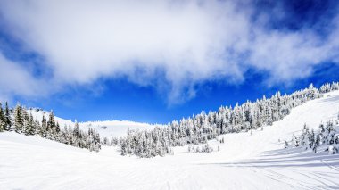 Geniş Snowfields ve derin kar paketi içinde yüksek Alp