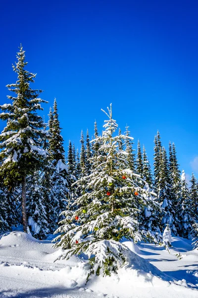 Snow Covered Christmas Tree with Decorations in the Forest — Stock Photo, Image