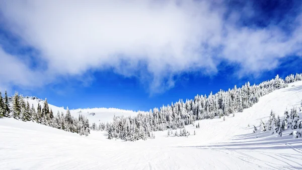 宽的雪原和厚厚的积雪包在高高山 — 图库照片