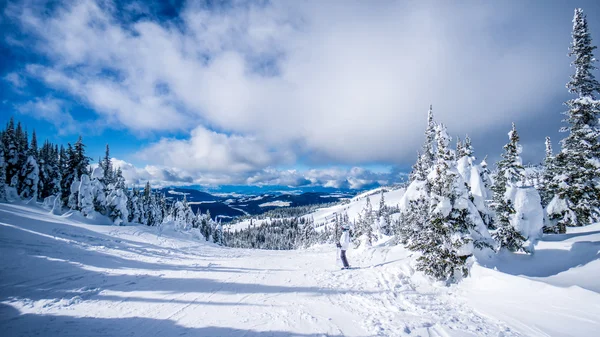 Mujer esquiadora disfrutando de los paisajes y árboles cubiertos de nieve en los Altos Alpes — Foto de Stock