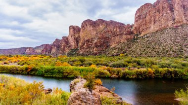Tuz nehir ve çevredeki dağların ile Merkezi Arizona'da renkli çöl çalılar düşmek