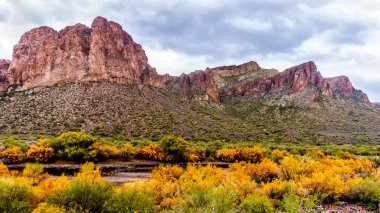 Tuz nehir ve çevredeki dağların ile Merkezi Arizona'da renkli çöl çalılar düşmek