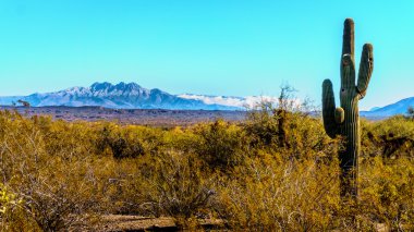 Dört doruklarına vahşi Merkezi Arizona'da yarı çöl