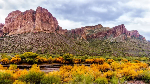 Tuz nehir ve çevredeki dağların ile Merkezi Arizona'da renkli çöl çalılar düşmek