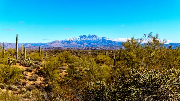 Dört doruklarına vahşi Merkezi Arizona'da yarı çöl — Stok fotoğraf