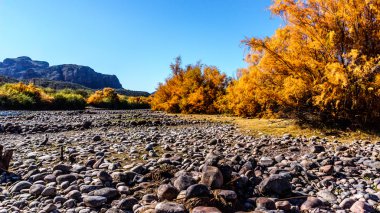 Tuz nehrin Merkezi Arizona'da çevresinde sonbahar renkleri