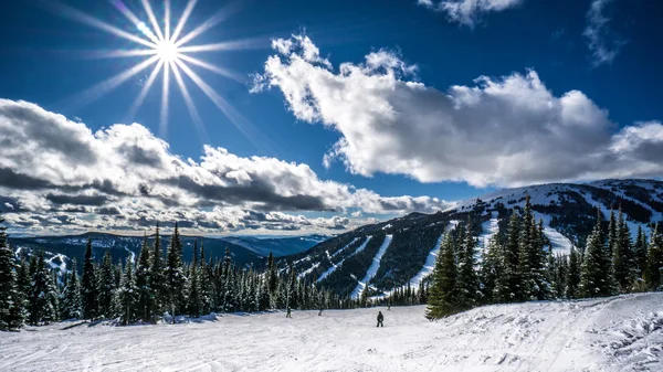 Катання на лижах вниз по схилах у сонячний день серед покриті снігом дерева — стокове фото