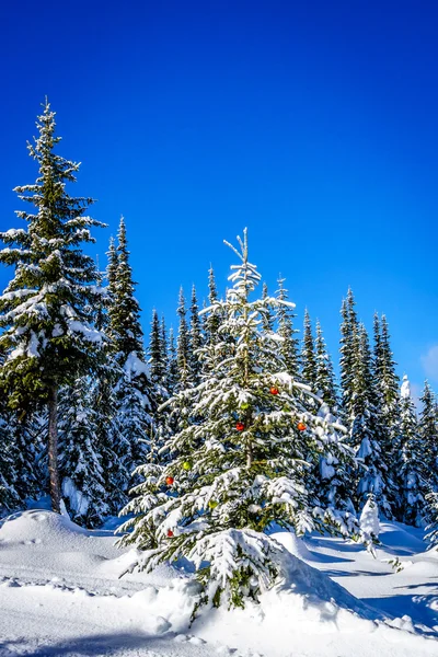 Christmas decorations on snow covered pine trees in the forest — Stock Photo, Image