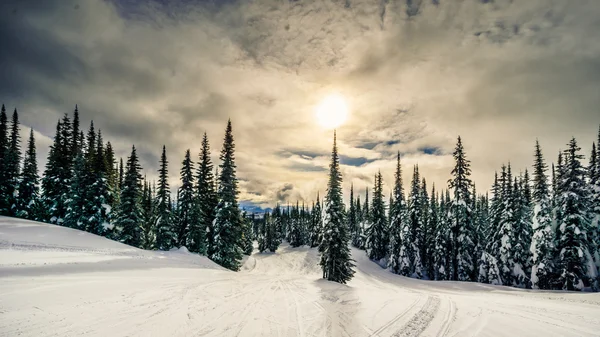 Západ slunce nad lyžařských svahů na Sun Peaks vesnice — Stock fotografie