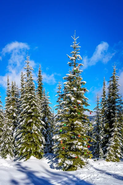 Decoraciones navideñas sobre pinos cubiertos de nieve en el bosque — Foto de Stock