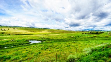 Açık geniş otlaklar ve tepeler Nicola Vadisi