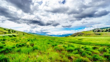 Açık geniş otlaklar ve tepeler Nicola Vadisi
