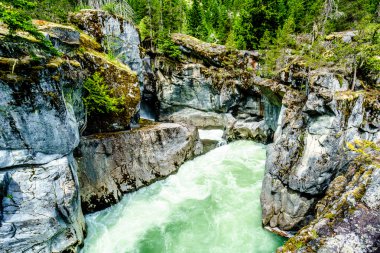 Nairn Falls Provincial Park Falls'ta Nairn aşağı basamaklı Lillooet Nehri