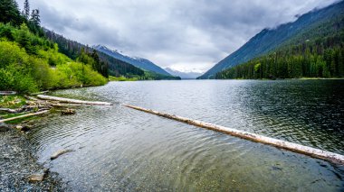 Duffy Gölde yüzen günlükleri