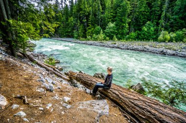Senior Woman sitting on a Log at the Lillooet River in Nairn Falls Provincial Park clipart