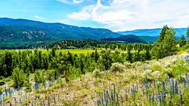Alt Nicola Valley yakınındaki Merritt British Columbia
