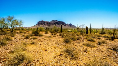 The town of Apache Junction at the foot of Superstition Mountain clipart