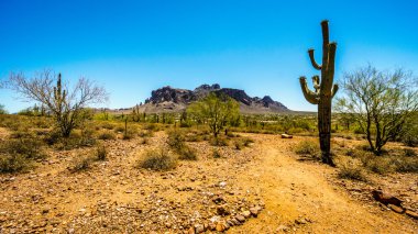 The town of Apache Junction at the foot of Superstition Mountain clipart