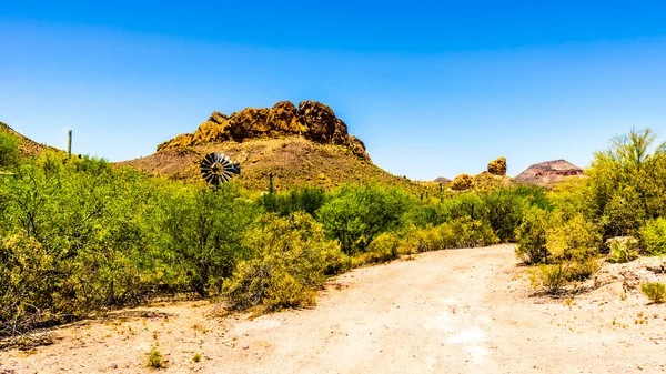 Pouštní krajina Tonto národního lesa podél stezky Apache v Arizoně, Usa — Stock fotografie