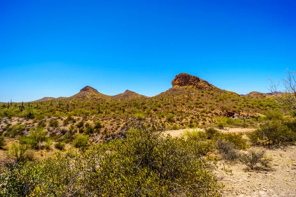 Pouštní krajina Tonto národního lesa podél stezky Apache v Arizoně, Usa — Stock fotografie