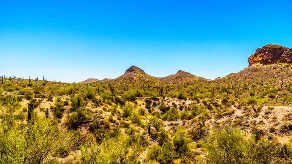 Öknen landskap av Tonto National Forest längs Apache Trail i Arizona, Usa — Stockfoto