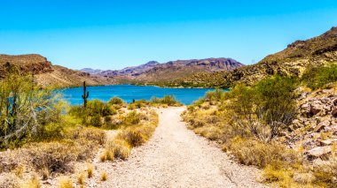 Canyon Lake and the Desert Landscape of Tonto National Forest clipart