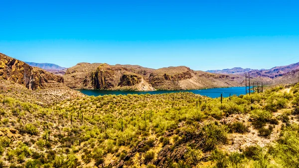 Lago Cañón y el Paisaje del Desierto del Bosque Nacional de Tonto — Foto de Stock