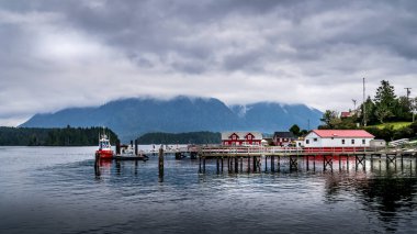 Tofino, BC / Kanada - 3 Ekim 2020: Vancouver Adası, Britanya Kolumbiyası, Kanada 'da Pasifik Kıyısındaki Tofino kasabasının limanı
