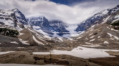 Jasper Ulusal Parkı 'ndaki Columbia Buzulları' ndaki ünlü Athabasca Buzulu, Alberta, Kanada