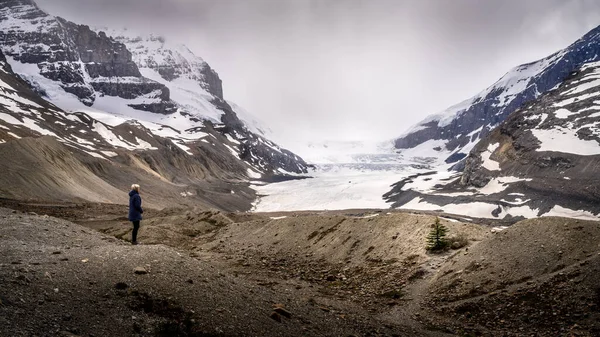 Žena Dívá Cloud Cover Přes Ledovec Athabasca Columbia Icefields Canadian — Stock fotografie