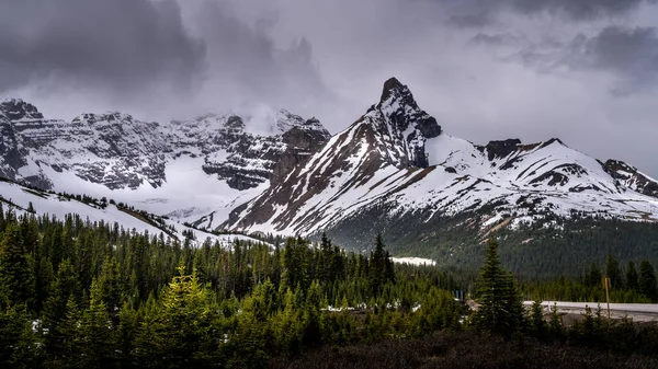Hilda Peak Columbia Icefields Jasper National Park Alberta Kanada — Stock fotografie