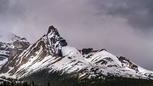 Close Hilda Peak Columbia Icefields Jasper National Park Alberta Kanada — Stock fotografie