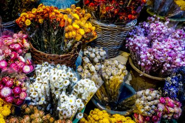 Amsterdam Flowershops renkli kuru çiçek buketleri