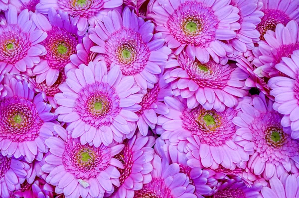 Nahaufnahme eines schönen Straußes lila Blumen — Stockfoto