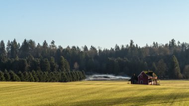 Eski dökük bir çiftçinin alanın ortasında