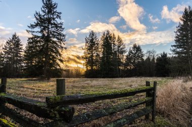 Günbatımı Fraser Valley kırsal çiftlik ülke