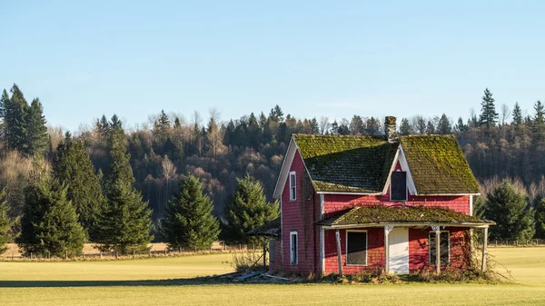 Vervallen oude huis in het midden van een landbouwer veld — Stockfoto