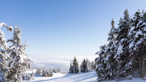 View from the high mountain top over cloud covered valley — Stock Photo, Image