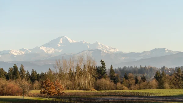 View of the dormant volcano Mount Baker in Washington state — Stock Photo, Image