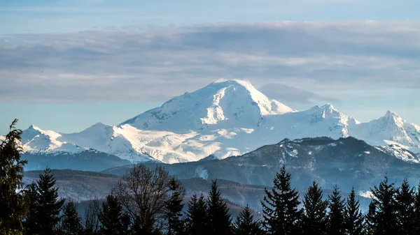 Washington eyaletinde Baker Dağı manzarası