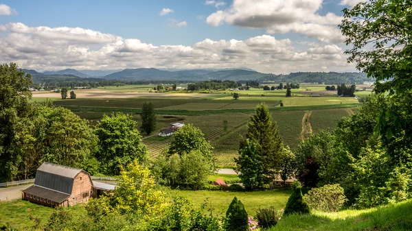 Glenn Valley in the Fraser Valley of British Columbia — Stock fotografie