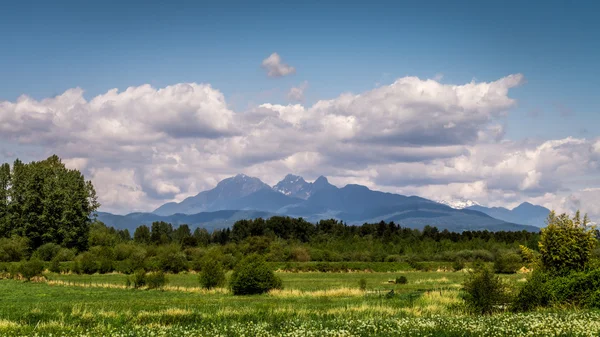 Montagne Golden Ears dans la vallée du Fraser — Photo