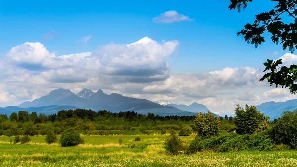 Golden Ears mountain in the Fraser Valley — Stockfoto