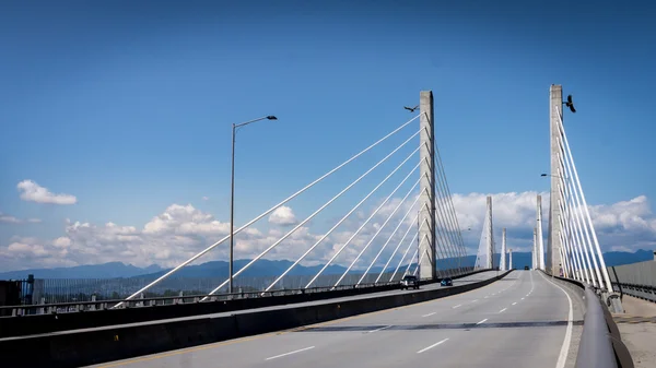 Golden Ears Bridge Looking North — Φωτογραφία Αρχείου