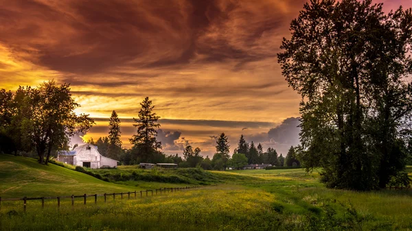 Sunset over a Farm in Fort Langley British Columbia — Stockfoto